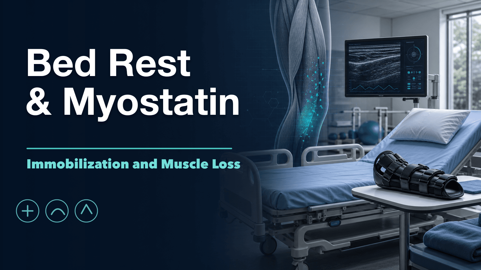 What Bed Rest Does to Your Myostatin (and Muscle) cover