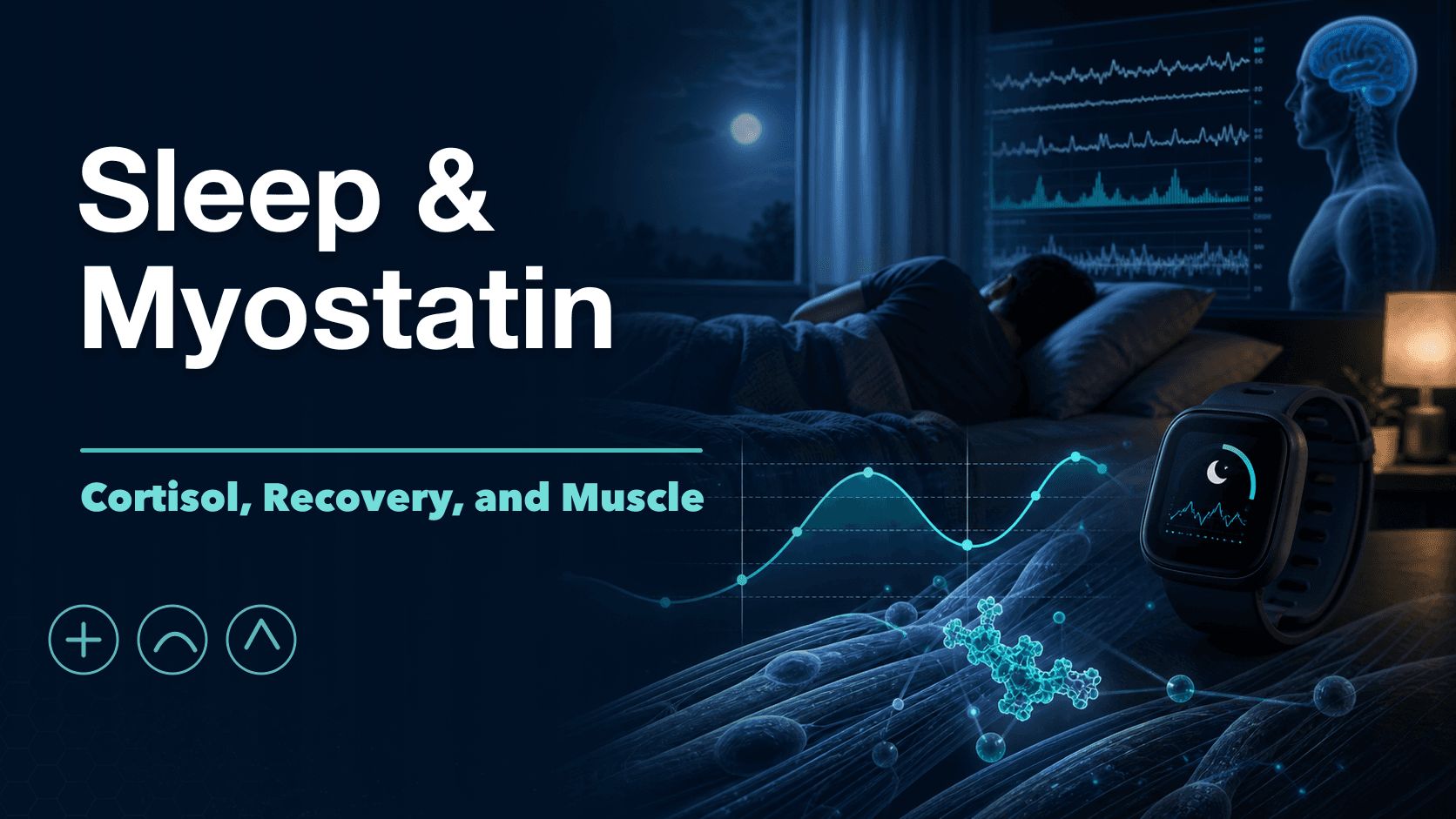 Sleep, Cortisol, and Myostatin: Why Poor Sleep Stalls Gains cover